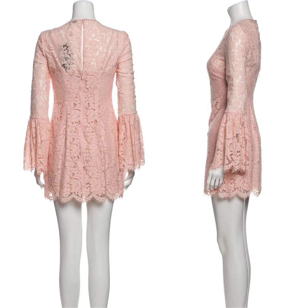 RACHEL ZOE Lace Pattern Mini Dress - Picture 4 of 15
